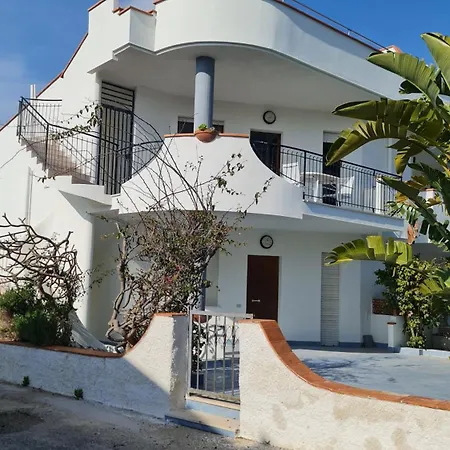 Mimosa Sciacca