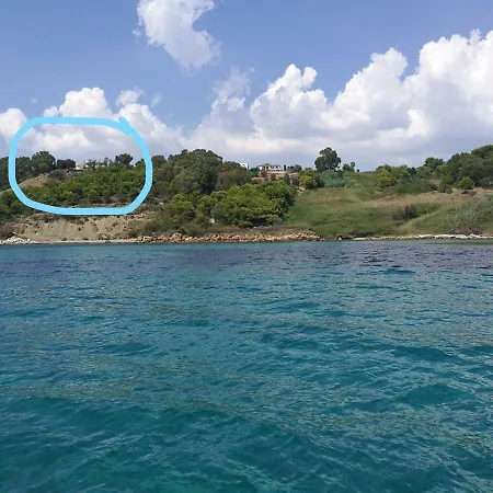 Mimosa * Sciacca